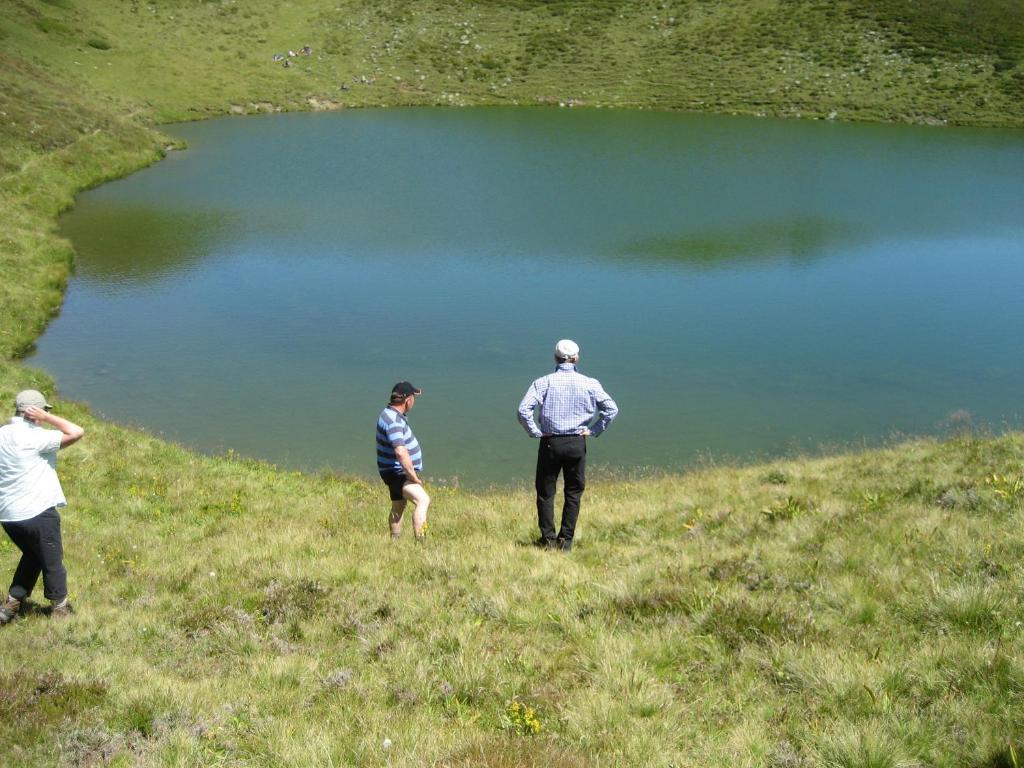 Pension Danler Telfes im Stubai Dış mekan fotoğraf