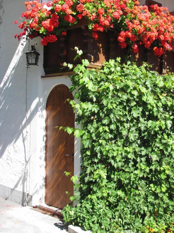 Pension Danler Telfes im Stubai Dış mekan fotoğraf